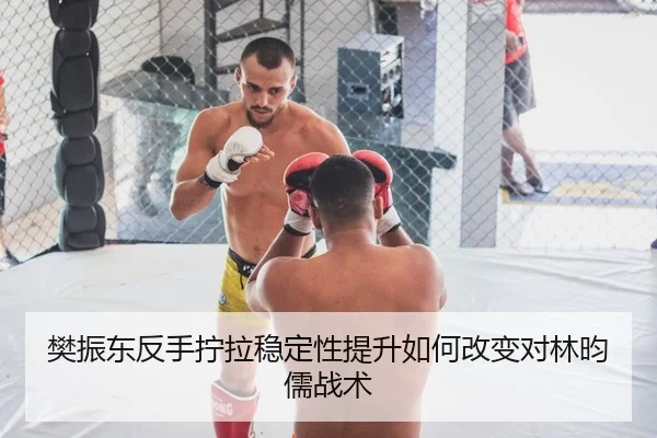 樊振东反手拧拉稳定性提升如何改变对林昀儒战术
